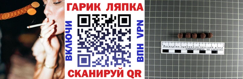ГАШ гашик  Шарья 